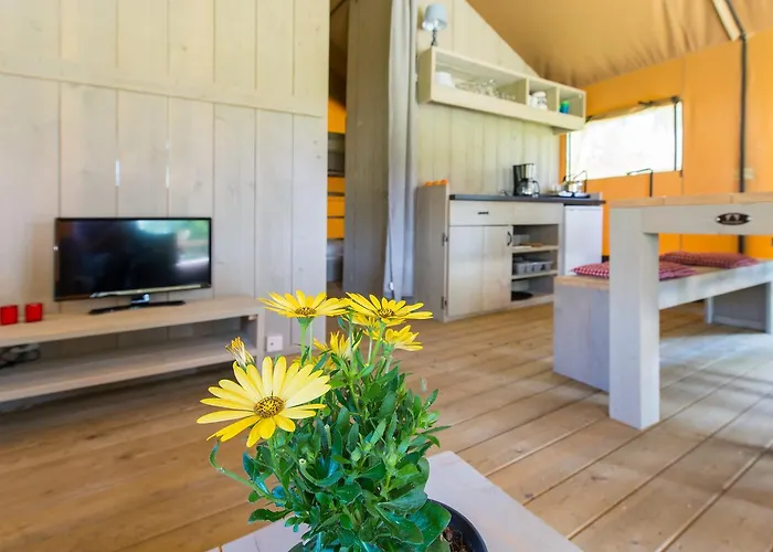 Chalet Streekpark Klein Oisterwijk