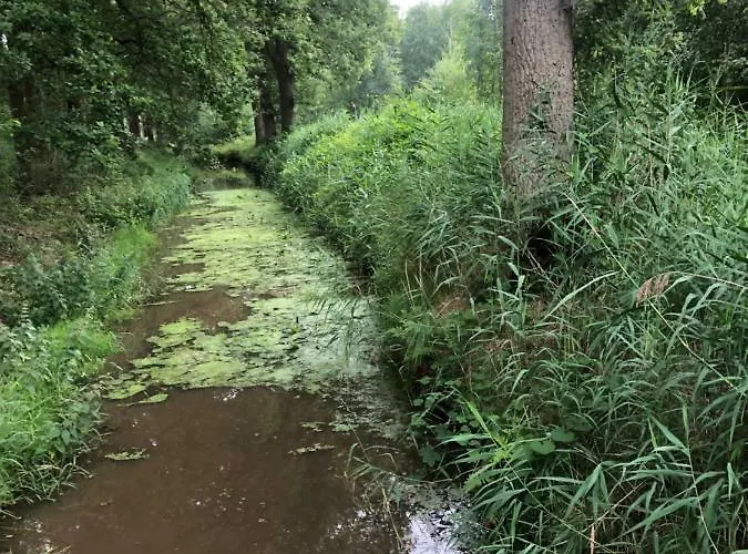 Streekpark Klein * Oisterwijk