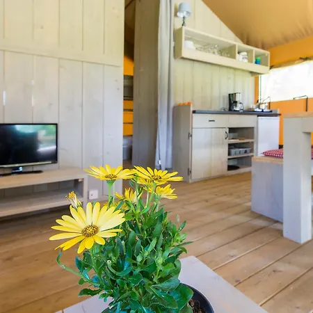 Шале Streekpark Klein Ойстервейк